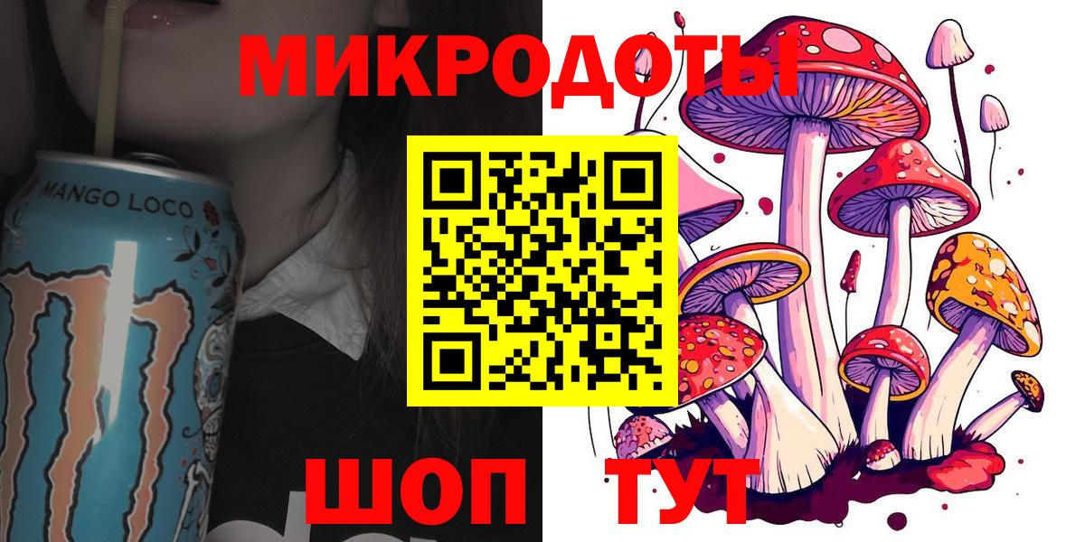 Псилоцибиновые грибы Psilocybe Кирово-Чепецк