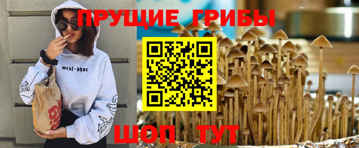 Кирово-Чепецк  Галлюциногенные грибы ЛСД  Галлюциногенные грибы прущие грибы  наркота  Вход с VPN 