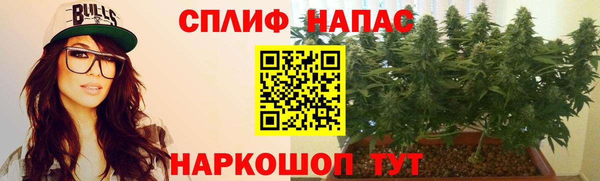 Конопля планчик Кирово-Чепецк
